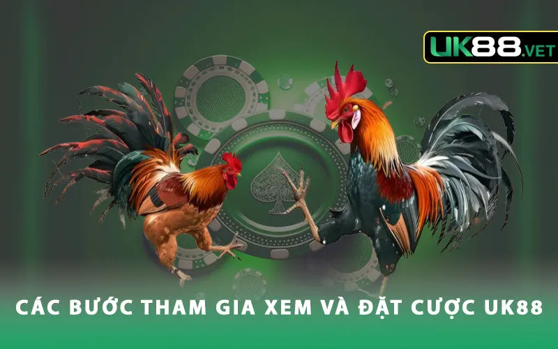 cac-buoc-tham-gia-xem-va-dat-cuoc-tai-uk88